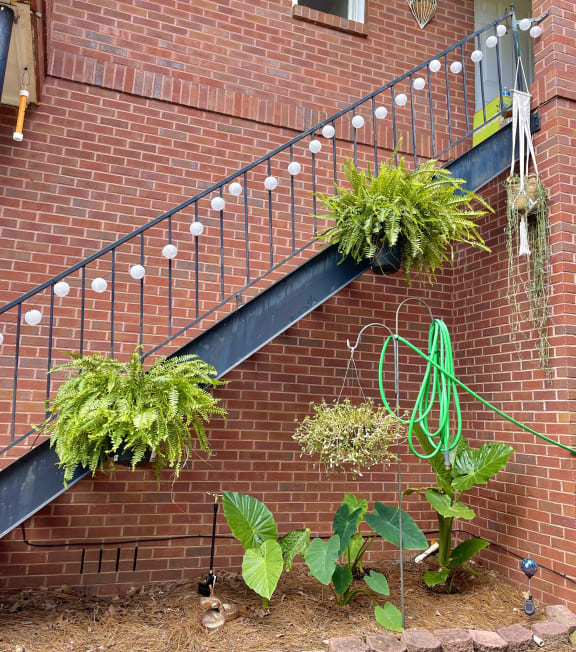 a brick staircase with plants in front of a brick building