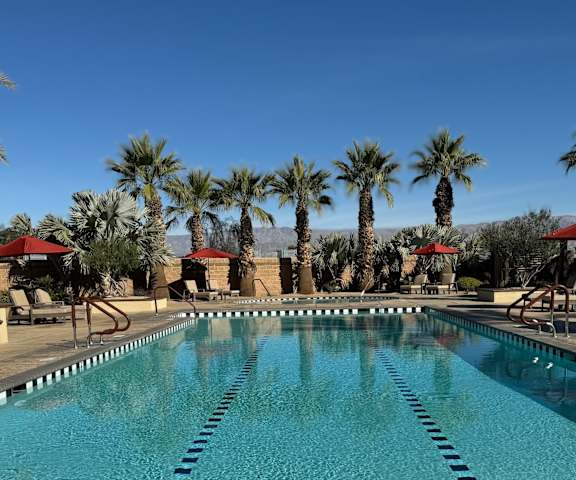 a large swimming pool with palm trees in the background