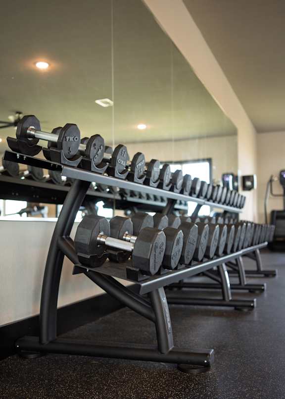 A gym with a row of dumbbells on a rack.