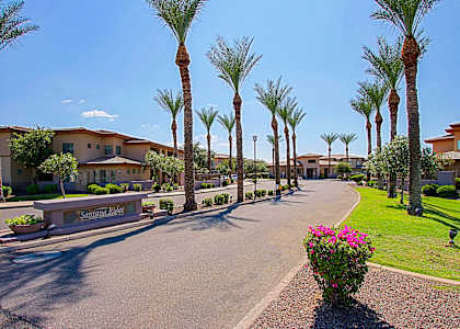 a street lined with palm trees and houses in the background