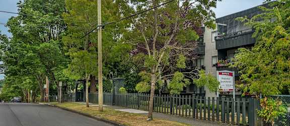 A tree-lined street with a fence and a sign in the background.