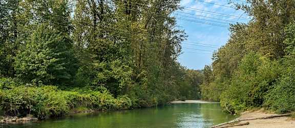 A river flows through a forested area with a sandy bank on the right.