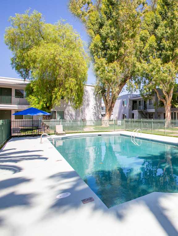 A swimming pool in a sunny backyard.