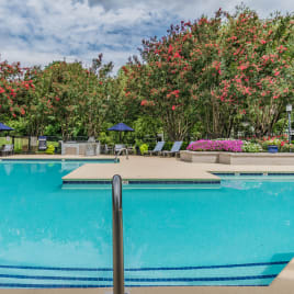 Pool View at Ascent Pineville, Charlotte