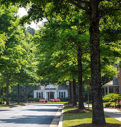 a street lined with houses and trees