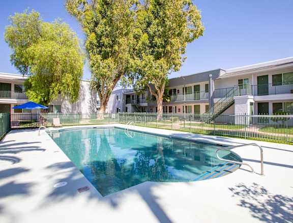 A swimming pool in a sunny backyard.