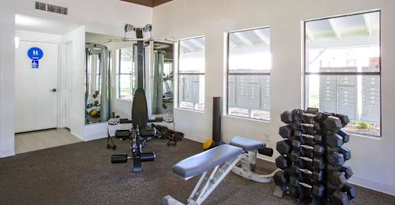 A gym with a variety of equipment including weights and a bench.