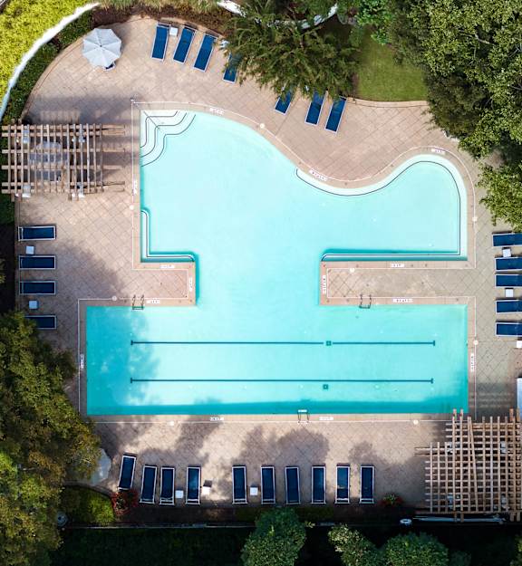 An aerial view of a swimming pool surrounded by trees.