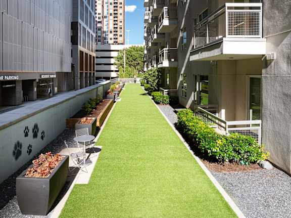 Outdoor Dog Run 