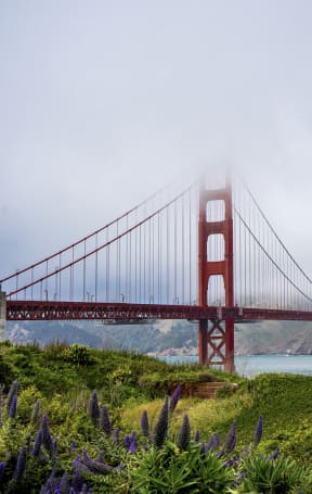 a view of the golden gate bridge in the fog