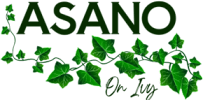The image features the word "ASANO" in large letters, surrounded by green ivy leaves.