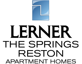 a clear black sky