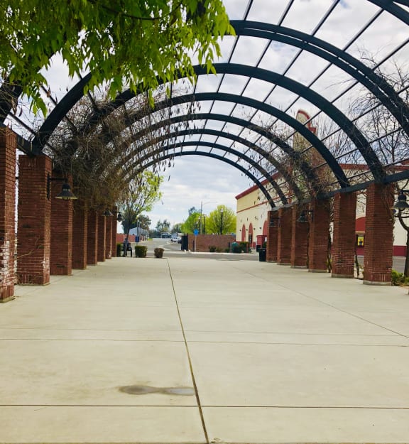 Arbor