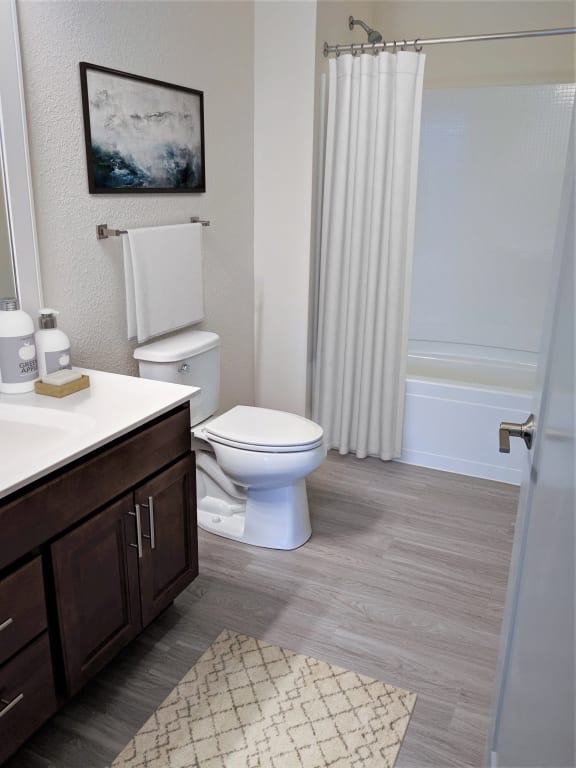1x1C-Bathroom at Poplar Creek Apartments, Wisconsin