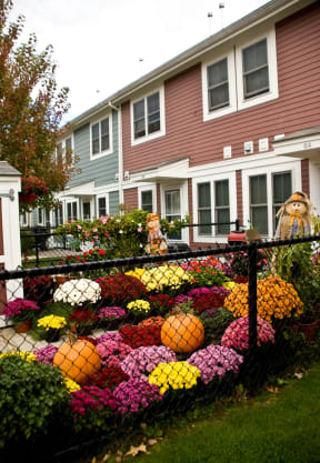 a yard filled with pumpkins in front of a house