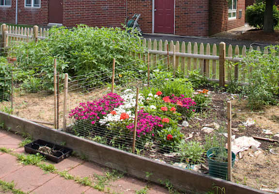 a garden in front of a brick building