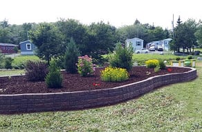 A garden with mulch and brick border