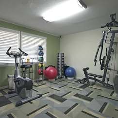 A gym with a treadmill, weights and exercise balls. at Oak Chase II, Tampa, 33612