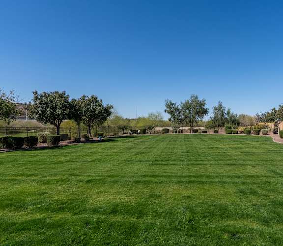 A large, well-maintained lawn with a clear blue sky above.