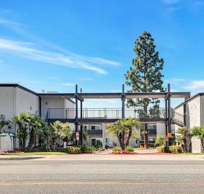 A modern building with a large tree in front and a clear blue sky above.