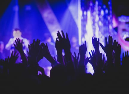 a crowd of people raising their hands at a concert