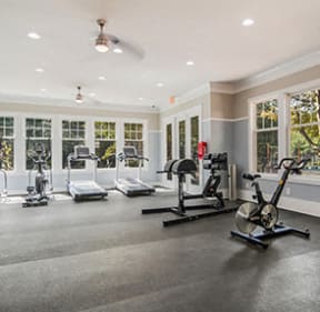 a large fitness room with treadmills and other exercise equipment