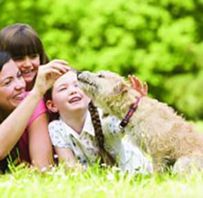 Happy Family Playing with Cute Dog