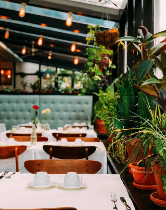 a restaurant with white tables and chairs and potted plants