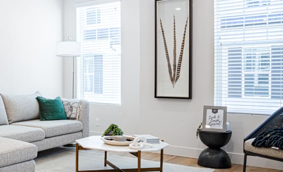 A living room with a couch, a potted plant, and a coffee table.