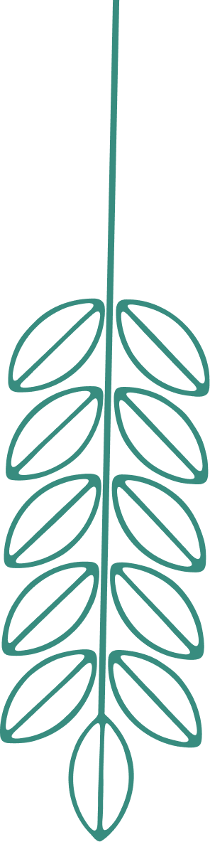 A green line drawing of a leaf.