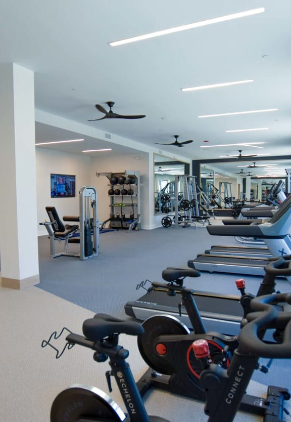 State Of The Art Fitness Center at The Maven, Suwanee
