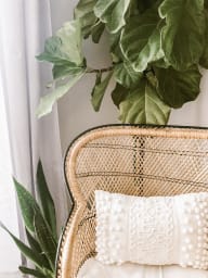 wicker chair with a pillow in the seat and plants in the background