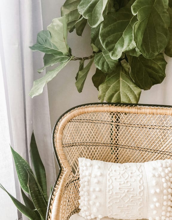 a wicker chair with a white pillow next to a green plant