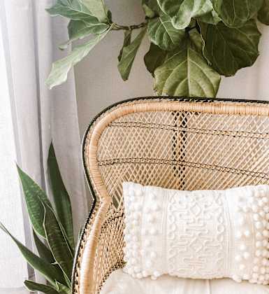 A wicker chair with a white pillow and a plant in the background.