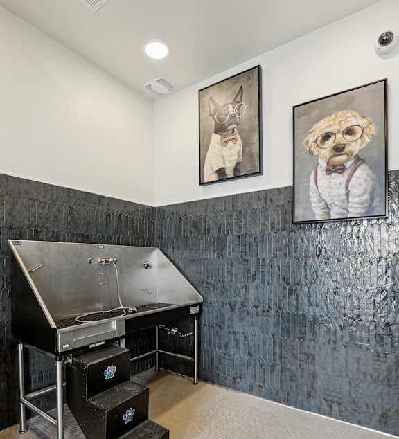 A dog grooming station with a grey wall and two pictures of dogs.