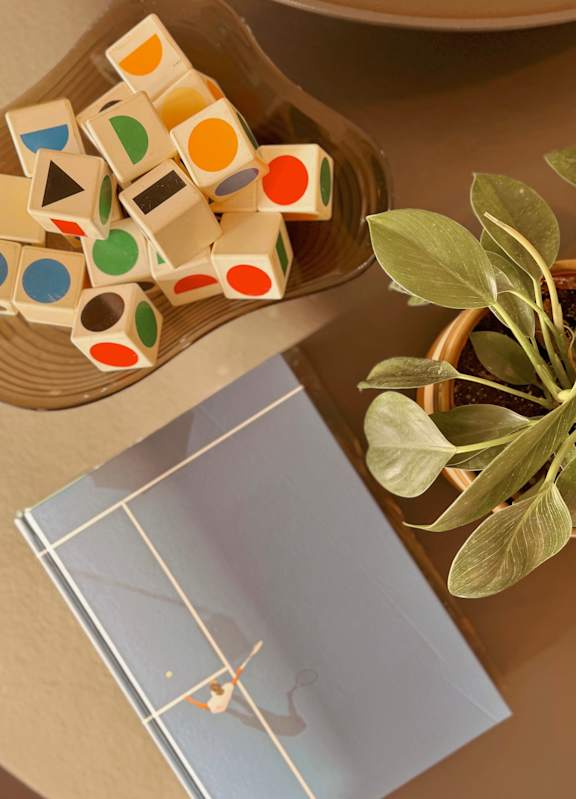 A small potted plant with green leaves sits on a table next to a stack of wooden blocks with various colored circles and triangles on them.
