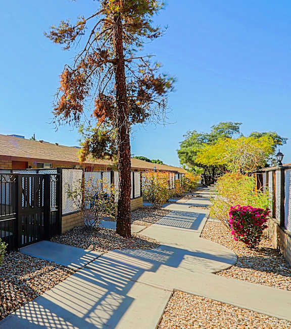 A sunny day at a residential area with a clear blue sky.