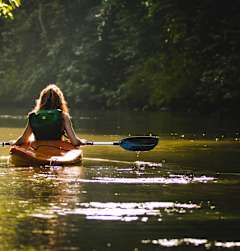 A person is kayaking on a calm river surrounded by trees.