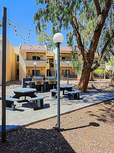A sunny day at a modern outdoor seating area with picnic tables and benches.