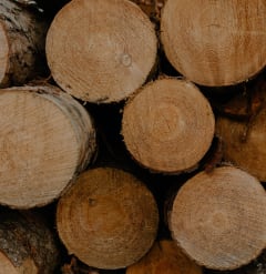 a pile of wood logs