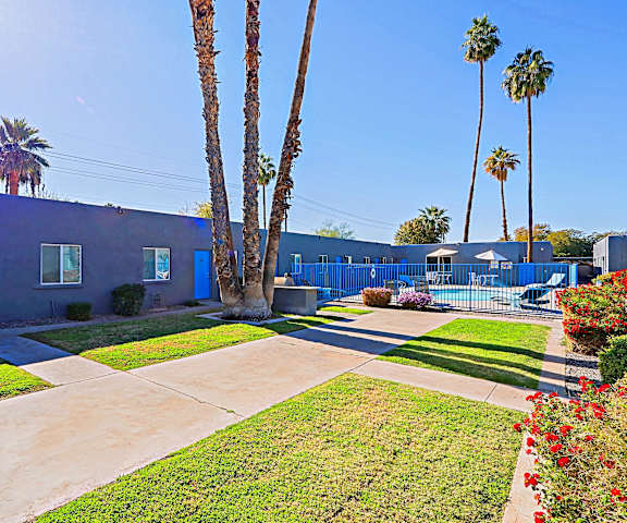 A blue building with a palm tree in front.