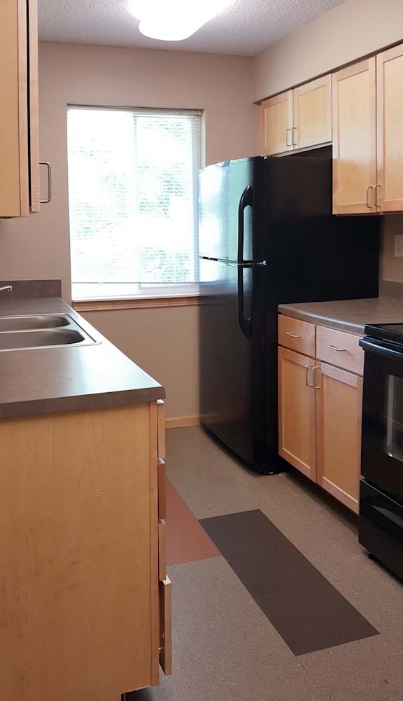 a kitchen with a black refrigerator freezer next to a window