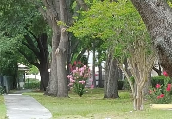 Crystal Court Apartments Apartments in Lakeland FL