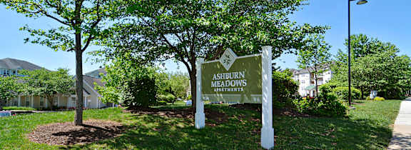 A large white building with a black roof is surrounded by trees with autumn leaves.
