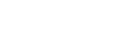 The image displays the text "THE FINN" in blue letters.