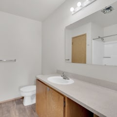 a bathroom with a sink and a toilet and a mirror