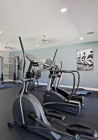 the gym is equipped with state of the art cardio equipment and a flat screen tv at Spring Meadow Apartments, Glendale, AZ, 85302