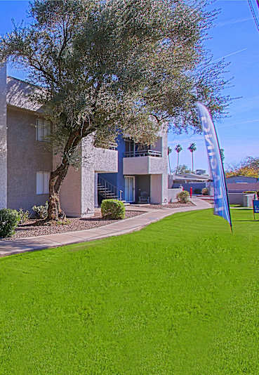 A modern building with a blue exterior and a green lawn in front.