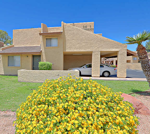 A house with a car parked in front and a large bush of yellow flowers in the front yard.