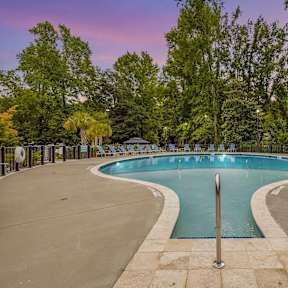 A large outdoor swimming pool surrounded by trees and lounge chairs.